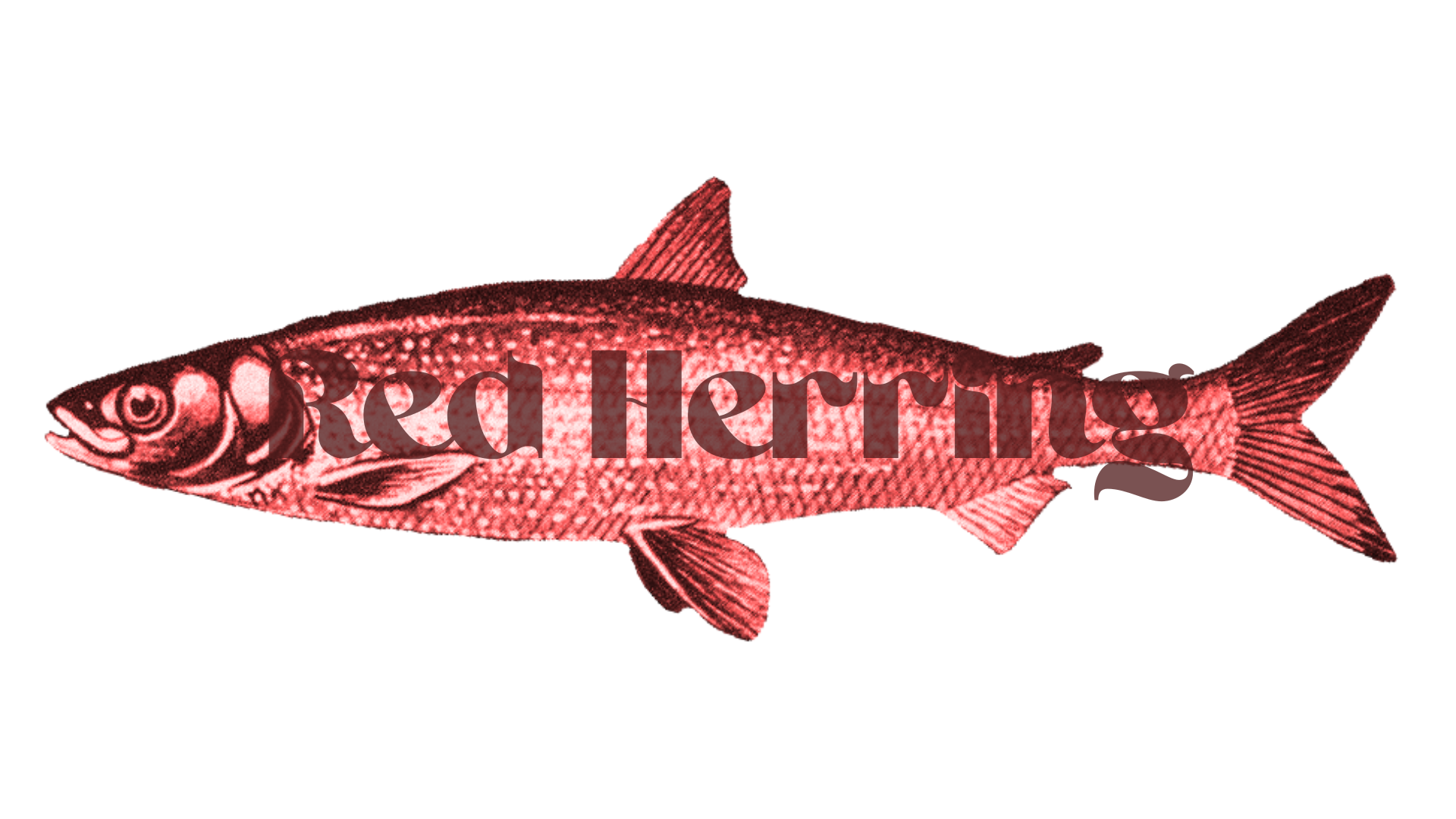 red herring